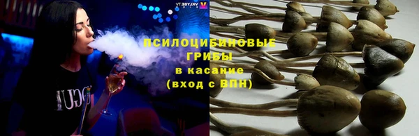 винт Магас