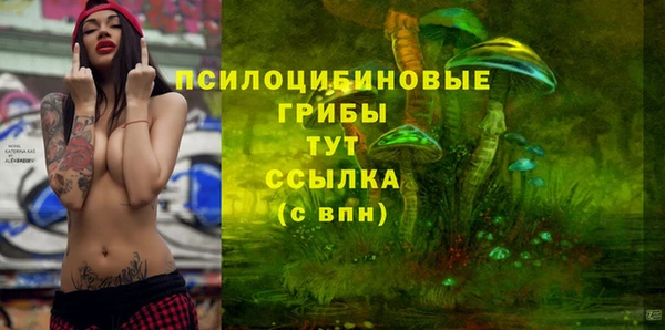 Альфа ПВП Алзамай