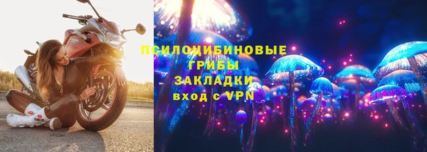 apvp Аксай
